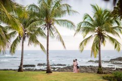 Hacienda-Pinillla-Palm-Trees-1