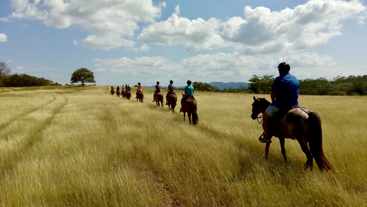 Horseback Riding